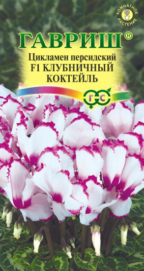 Семена. Цикламен персидский «Клубничный коктейль F1», 3 шт