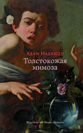 Толстокожая мимоза: Быть счастливым - или нормальным? Эссе