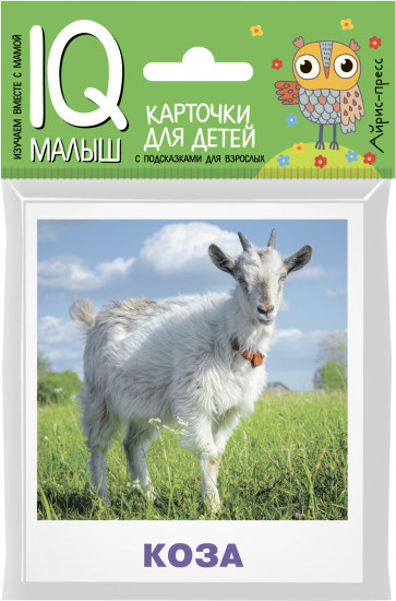 Умный малыш. Домашние животные