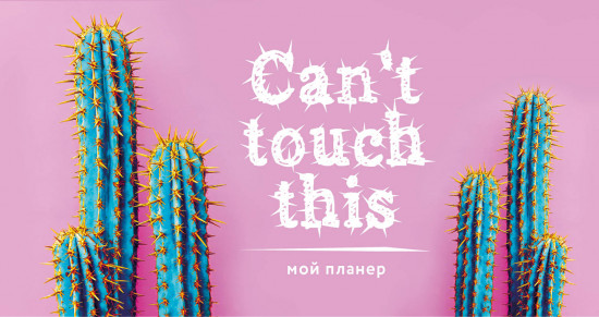 Мой планер. «Колючие кактусы: Can’t touch this»