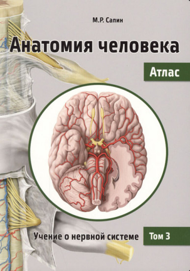 Анатомия человека. Атлас. Учебное пособие. В 3-х томах. Том 3. Учение о нервной системе