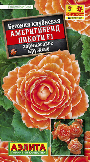 Семена. Бегония Америгибрид Пикоти F1 «Абрикосовое кружево»