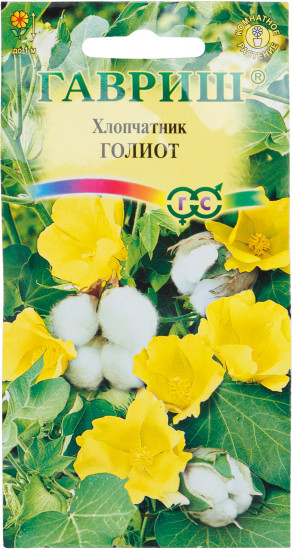Семена. Хлопчатник «Сахарная вата»