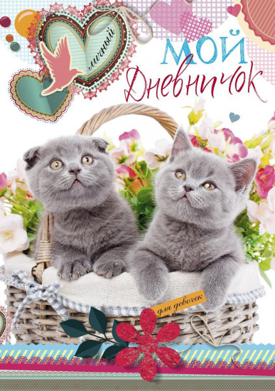 Мой личный дневничок для девочек «Котята в корзинке»
