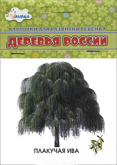 Карточки для развития ребенка «Деревья России»