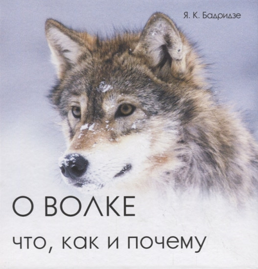 О волке: что, как и почему