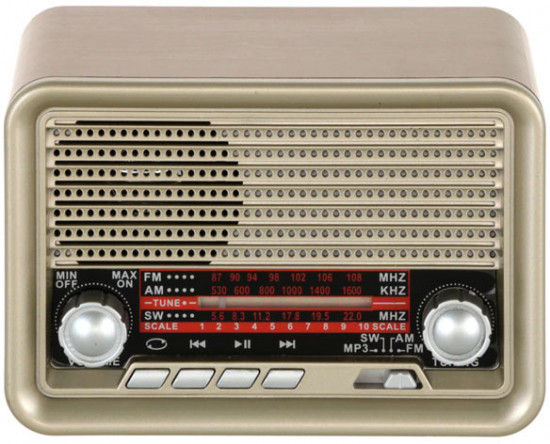 Радиоприемник портативный Ritmix RPR-030