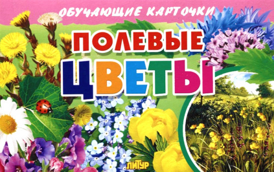 Карточки обучающие «Полевые цветы»