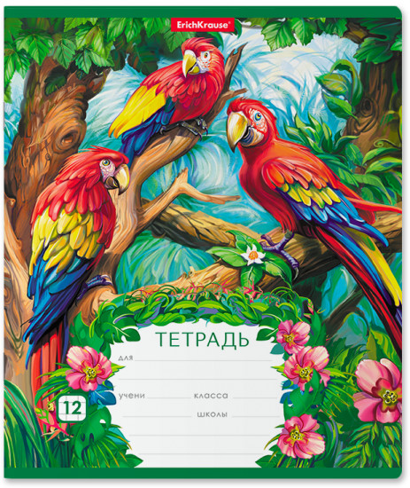 Тетрадь школьная