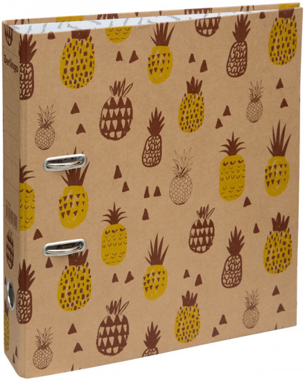 Папка-регистратор «Pineapple»