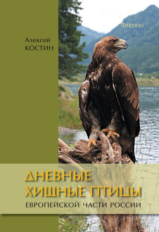 Дневные хищные птицы европейской части России