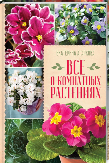 Все о комнатных растениях