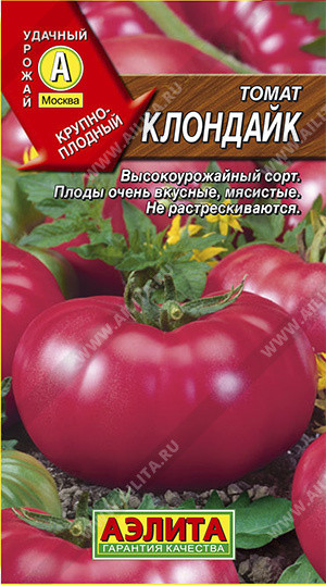 Томат «Клондайк»