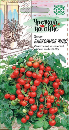 Томат «Балконное чудо»