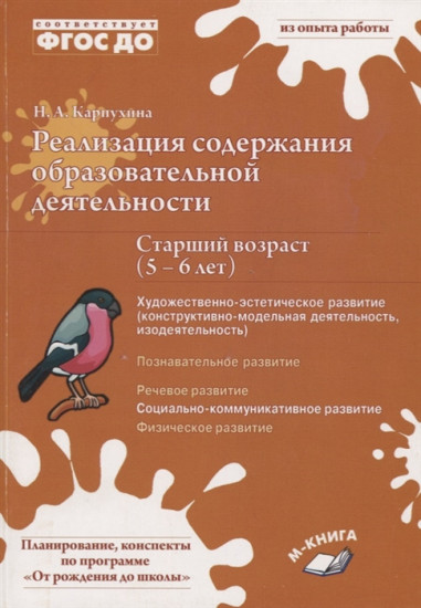 Реализация содержания образовательной деятельности. 5-6 лет. Художественно-эстетическое развитие