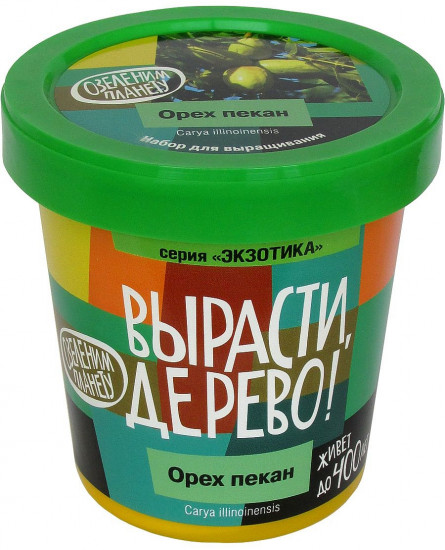 Набор для выращивания «Орех пекан»