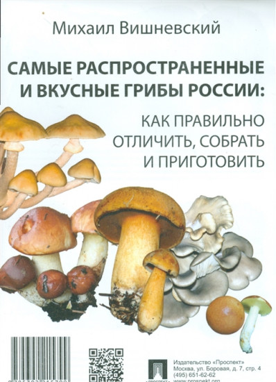 Самые распространенные и вкусные грибы России: как правильно отличить, собрать и приготовить