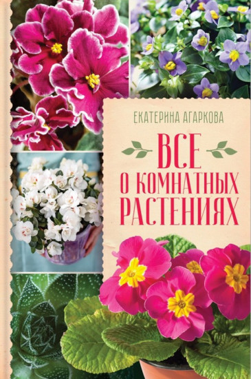 Все о комнатных растениях