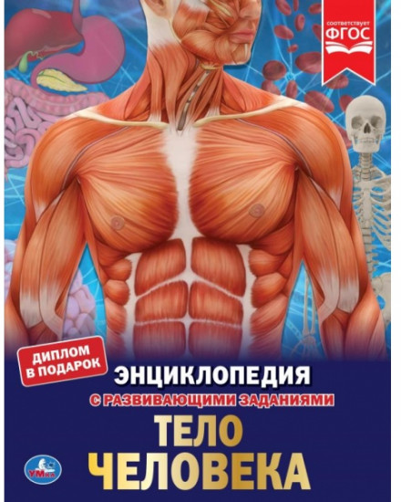 Энциклопедия «Секреты тела человека»