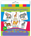Дикие животные и птицы. Развивающие карточки