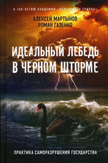 Идеальный лебедь в черном шторме. Практика саморазрушения государства