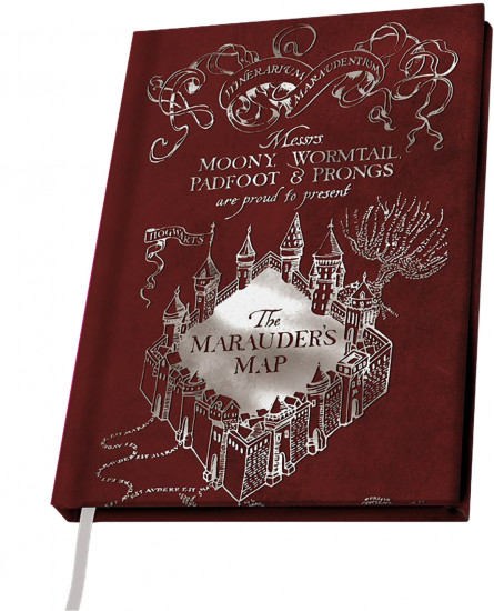 Книга для записей «Quidditch»