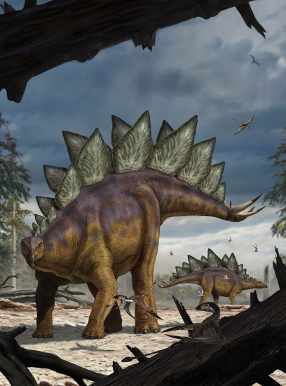 Фотообои «Stegosaurus»