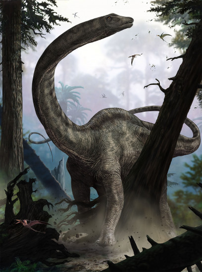 Фотообои «Rebbachisaurus»