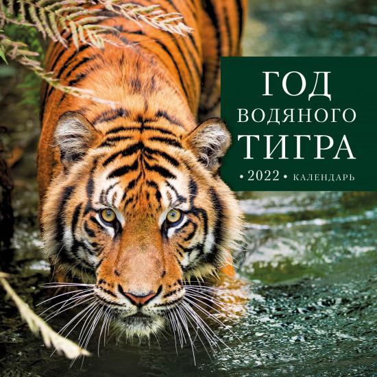 Календарь настенный на 2022 год «Год водяного тигра»