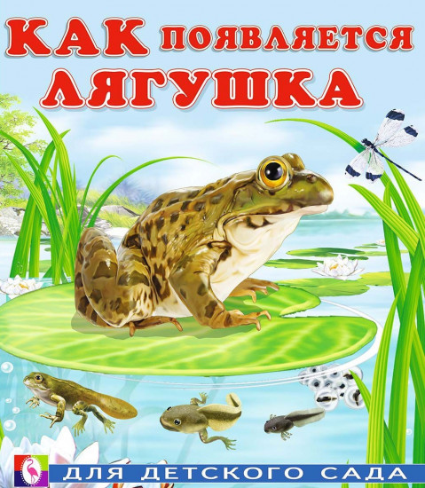 Как появляется лягушка