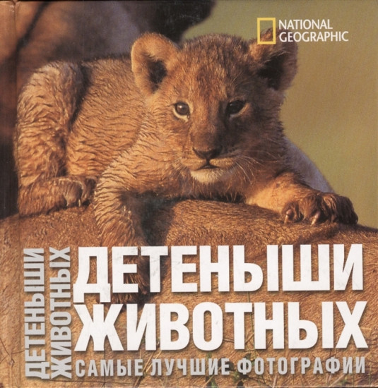 Детеныши животных. Самые лучшие фотографии