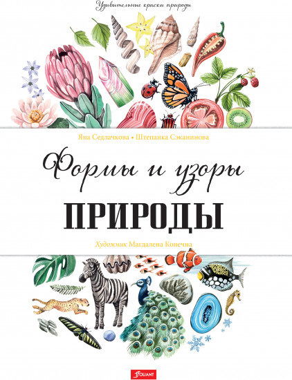 Формы и узоры природы