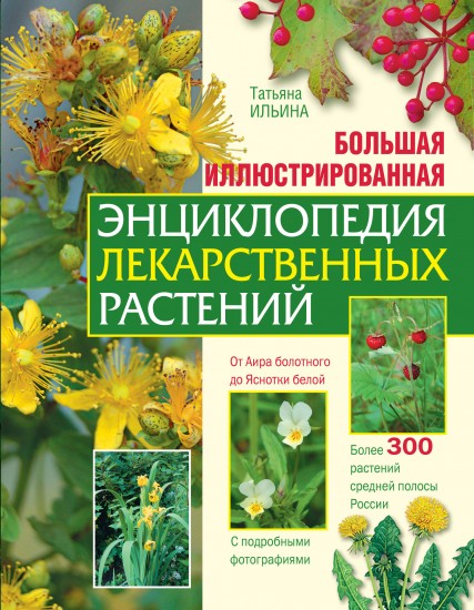 Большая иллюстрированная энциклопедия лекарственных растений: Более 300 растений средней полосы России; С подробными фотографиями