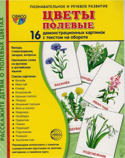 Цветы полевые. Демонстрационные картинки