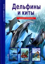 Дельфины и киты