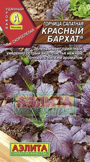 Семена. Горчица салатная «Красный бархат»
