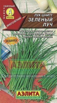 Семена. Лук шнитт «Зеленый луч», многолетний, 0,5 г