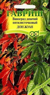 Семена. Виноград девичий пятилисточковый «Дон Жуан», 5 шт