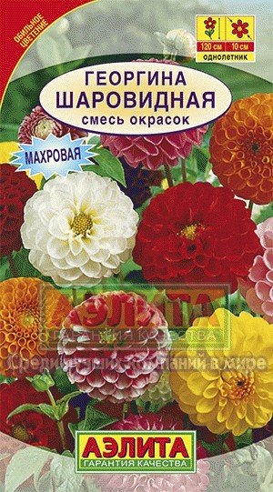 Семена. Георгина «Шаровидная», смесь, 0,2 г