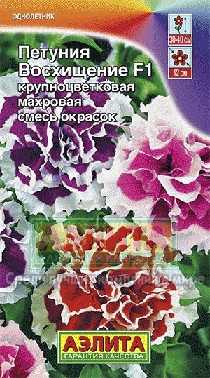 Семена. Петуния «Восхищение F1», смесь, 10 шт