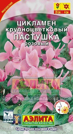 Семена. Цикламен «Пастушка» крупноцветковый, розовый