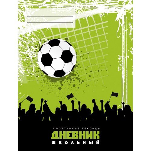 Дневник для средних и старших классов «Спортивные рекорды. Дизайн 4 (15)»