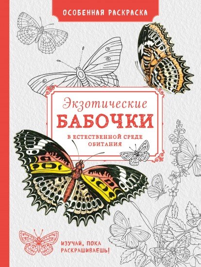 Экзотические бабочки в естественной среде обитания. Особенная раскраска