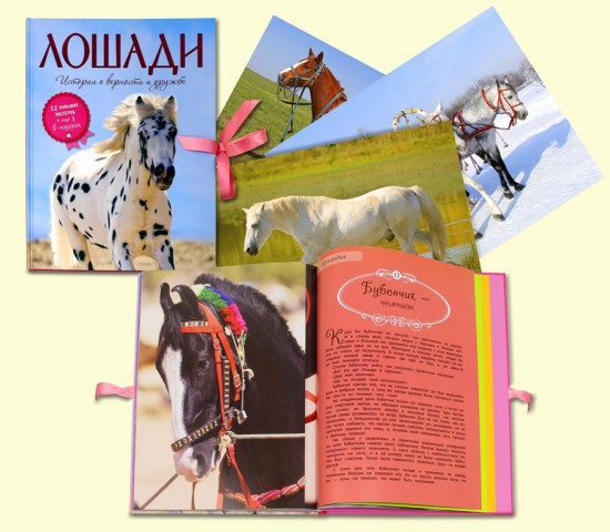 Лошади. Истории о верности и дружбе