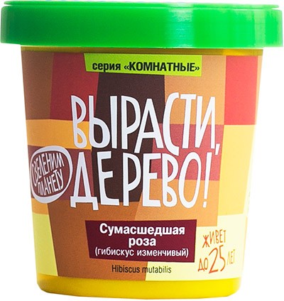 Набор для выращивания «Сумасшедшая роза»