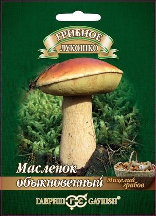 Мицелий грибов. Масленок обыкновенный, 15 мл