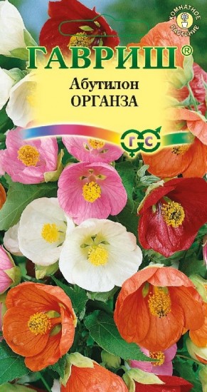 Семена. Абутилон «Органза» (смесь), 10 шт