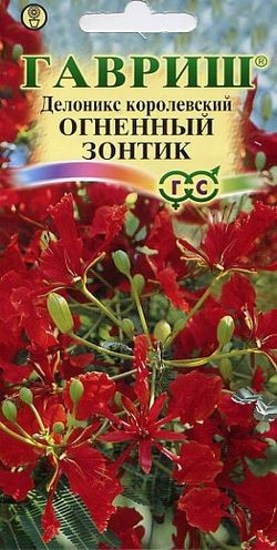 Семена. Делоникс королевский «Огненный зонтик», 3 шт