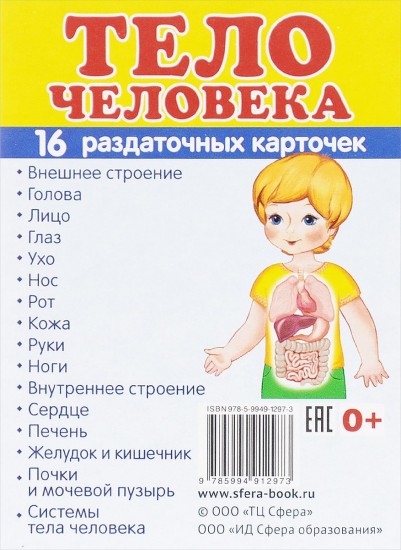 Тело человека. 16 раздаточных карточек с текстом