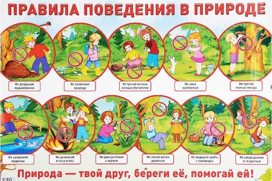 Демонстрационный плакат. Правила поведения в природе